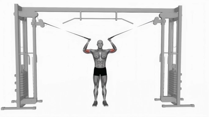 Cable Overhead Curl健身运动锻炼动画男性肌肉突出演示4K分辨率60 fps