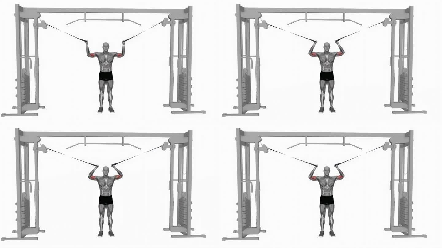 Cable Overhead Curl健身运动锻炼动画男性肌肉突出演示4K分辨率60 fps