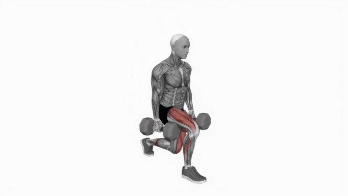 哑铃分蹲健身运动锻炼动画男性肌肉突出演示4K分辨率60 fps