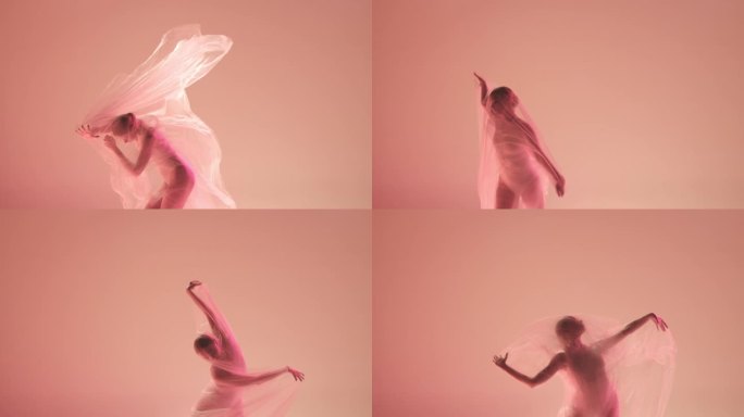 内心世界。温柔和优雅。年轻的女孩，芭蕾舞者在霓虹灯渐变的工作室背景下，用透明的织物跳舞