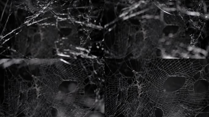 在晚上穿过一团诡异的蜘蛛网。万圣节蜘蛛网背景。