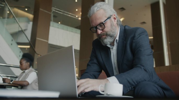 成功的商务人士使用笔记本电脑打字，集中在酒店的网上交流