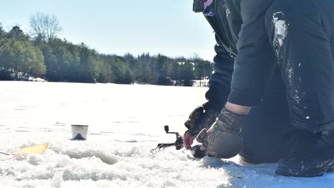 冰钓大口黑鲈一条鱼上钩冰洞冰面湖面冬季垂