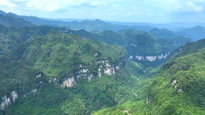 大方县油杉河景区