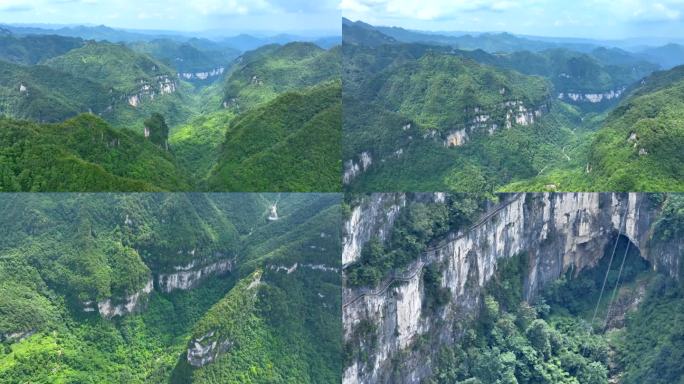 大方县油杉河景区