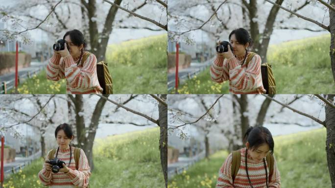 亚洲女性旅行者在假期用相机拍摄樱花