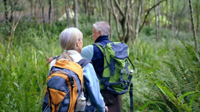 健身，徒步旅行，和老夫妇一起去大自然探险，旅行和度假。与老年男女一起在森林里徒步旅行、背包旅行和健康