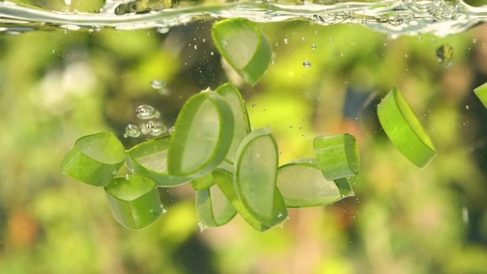 绿色芦荟植物叶片落在水中