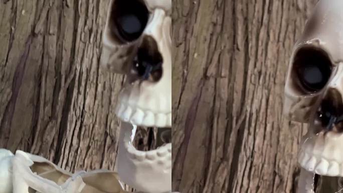 一个人的骨架坐在树上，旁边是一只鸟的骨架，一只秃鹫，相机慢慢地漂浮着，为万圣节拍摄视频