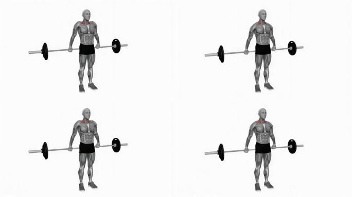 杠铃背部宽耸肩健身运动锻炼动画男性肌肉突出演示4K分辨率60 fps