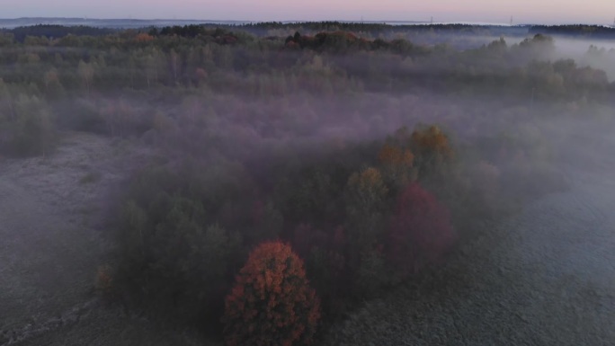 鸟瞰图。朦胧乡村的日出。魔法雾到地平线。史诗般的惊人的自然景观。日出时令人惊叹的鸟瞰图。秋雾景观。雄