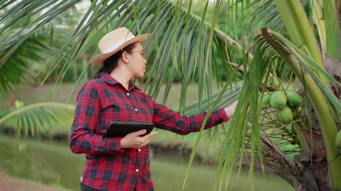 美丽的亚洲中年女性农民正在学习种植椰子树进行质量分析，收集数据，并通过在现代农场的数字平板上书写来检