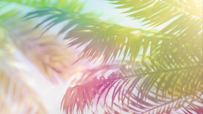 彩色棕榈树的动画背景