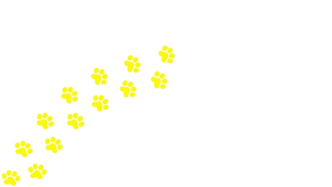 动画猫黄色的轨道。猫的爪印依次排成一排。毛圈的视频。矢量平面插图隔离在白色背景上