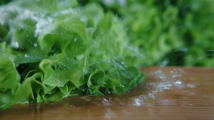 湿漉漉的新鲜生菜叶子落在厨房的木桌上。卷叶绿叶沙拉滴着水珠