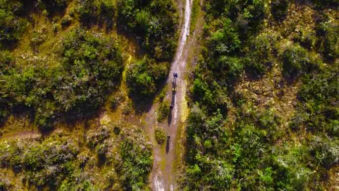 白天无人机直接向下拍摄的照片。在秘鲁的奥克斯帕帕，当地人沿着一条被灌木包围的土路向前走。