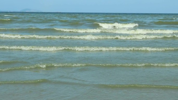 研究浮游生物大量繁殖造成的废水影响水生动物和生态系统，减少氧气，特别是在海底。