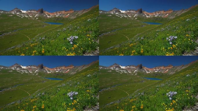 电影天堂冰湖盆地小径高山荒野哥伦拜恩紫色州野花令人惊叹的科罗拉多西尔弗顿特柳赖德落基山脉雪夏天美丽的