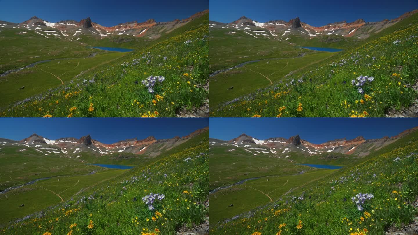 电影天堂冰湖盆地小径高山荒野哥伦拜恩紫色州野花令人惊叹的科罗拉多西尔弗顿特柳赖德落基山脉雪夏天美丽的