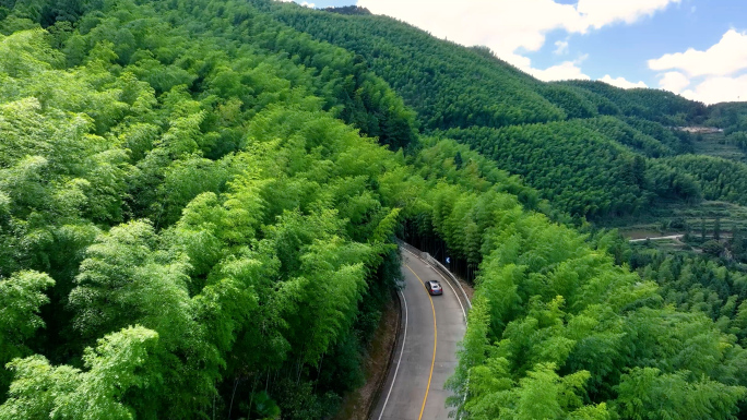 行驶在山林树林竹林里的轿车