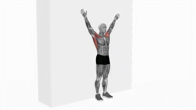 体重站在世界墙支持健身运动锻炼动画男性肌肉突出演示4K分辨率60 fps
