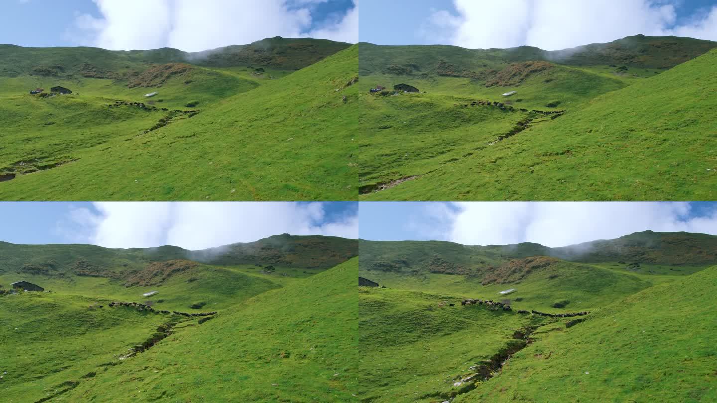 无人机拍摄的尼泊尔自然风光，羊群排成一行吃草，绿色的土地，蓝天和云彩。冒险的环境。为热爱大自然的人提