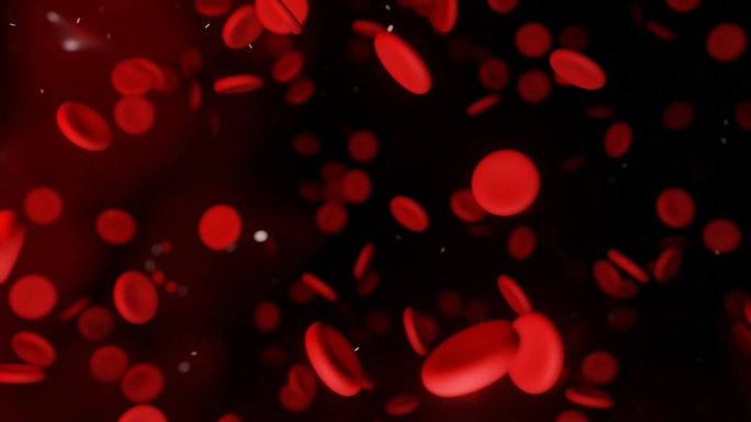 红血球在动脉的血流中运动。3D血红蛋白细胞在静脉中流动