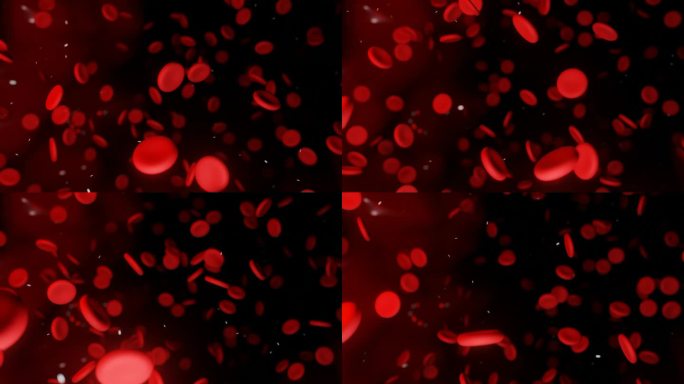 红血球在动脉的血流中运动。3D血红蛋白细胞在静脉中流动