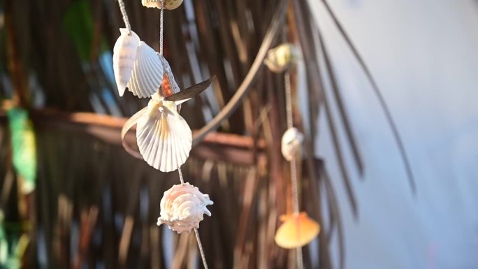 美丽的贝壳移动装饰随风飘扬，慢动作自然场景背景