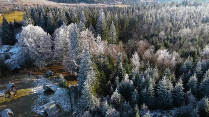 冬季森林自然白雪覆盖的冬季树木高山景观清晨日出假日旅游霜冻的树顶鲜艳的色彩空中4k