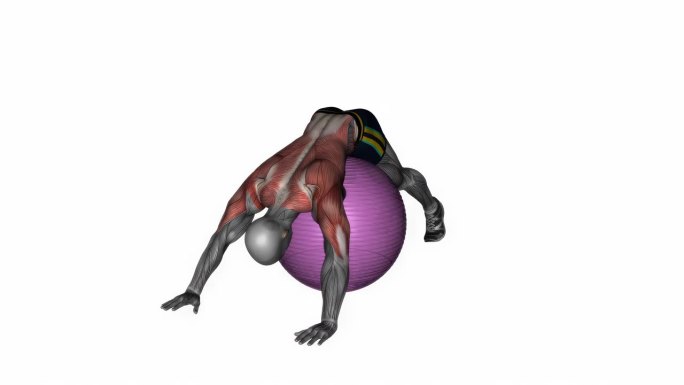运动球下背部俯卧伸展健身运动锻炼动画男性肌肉突出演示4K分辨率60 fps