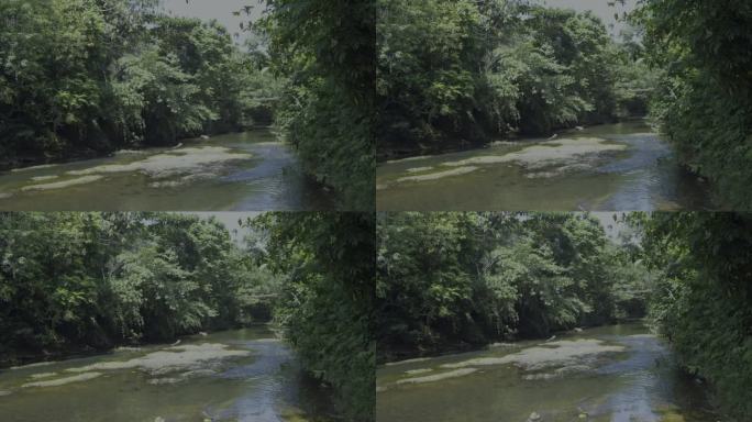 加里曼丹丛林中部的一条浅河