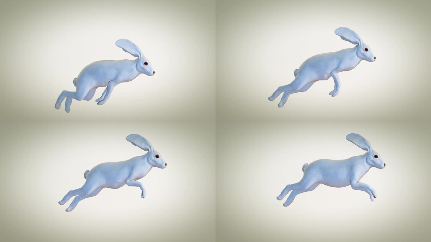 白色的复活节兔子奔跑，寻找复活节彩蛋的概念，循环