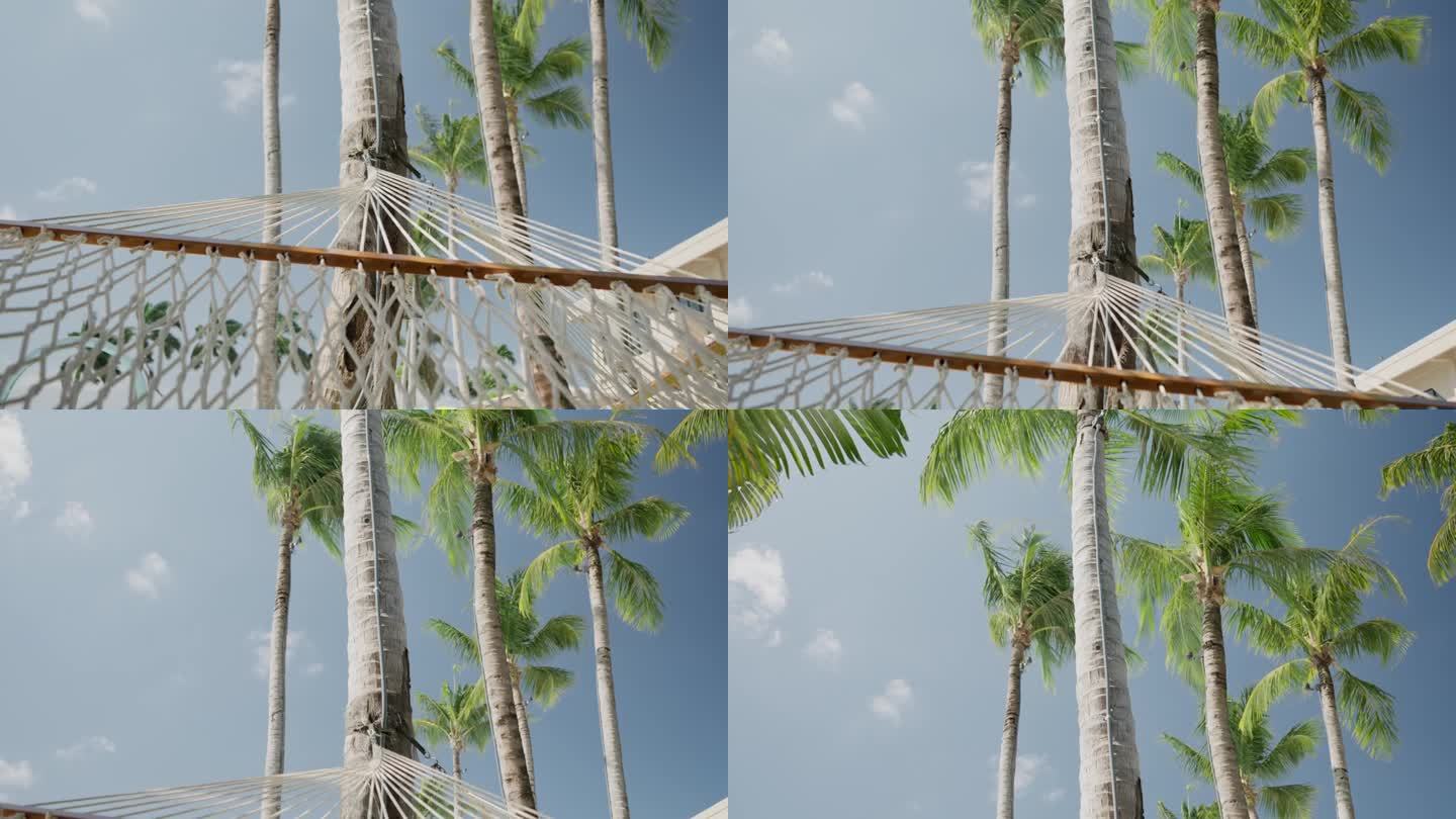 在热带岛屿的夏天，一个吊床被绑在一棵棕榈树上