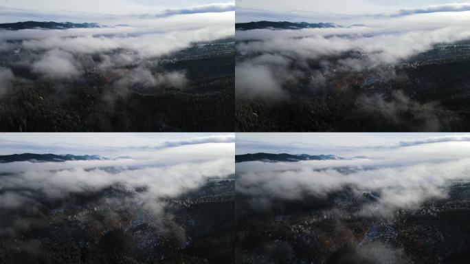 冬季森林云中飞行云中航拍4K视频