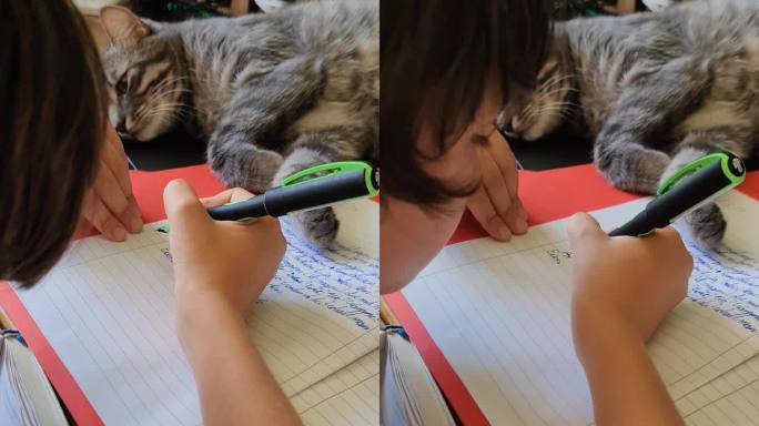 孩子和猫在做作业