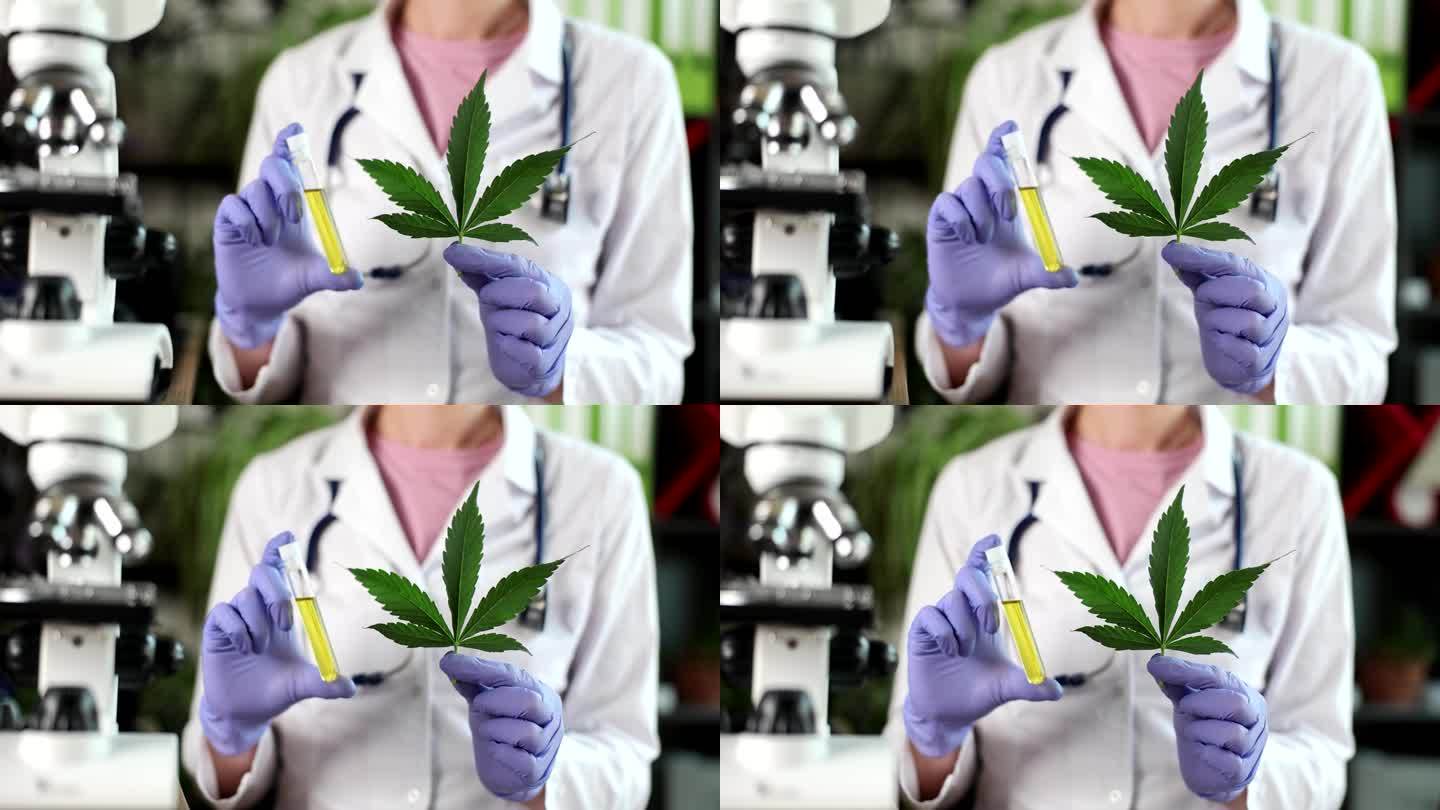 科学家在实验室测试从大麻植物中提取的cbd油