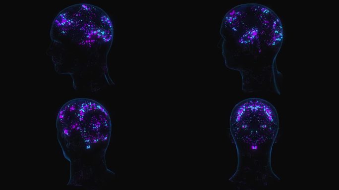 大脑08颜色01三维模型元素素材脑电波