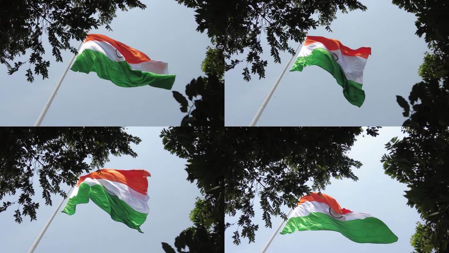 从树丛中隐约可见的印度国旗