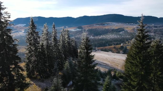 冬季森林自然白雪覆盖的冬季树木高山景观清晨日出假日旅游霜冻的树顶鲜艳的色彩空中4k