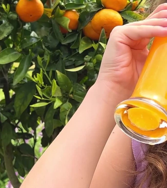 一个十几岁的女孩拿着一杯橙汁站在一棵柑橘树的背景上，橘子或橙子挂在树上。她微笑着看着可以用来做果汁广
