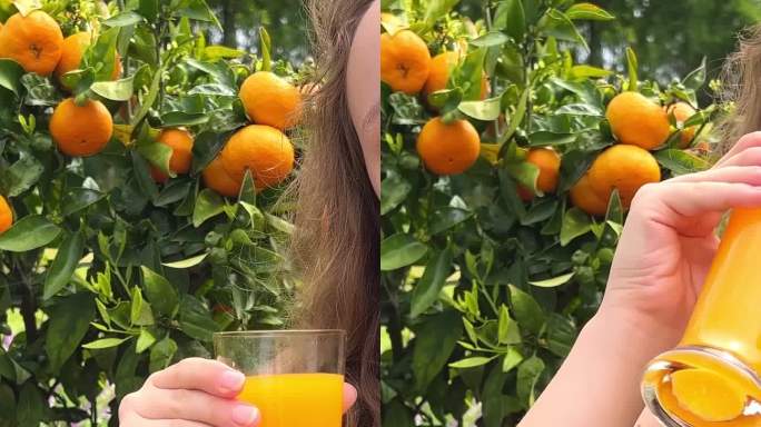 一个十几岁的女孩拿着一杯橙汁站在一棵柑橘树的背景上，橘子或橙子挂在树上。她微笑着看着可以用来做果汁广