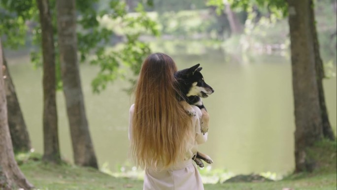 后景:一名亚洲女子肩上抱着一只柴犬，慢镜头在假日湖公园散步