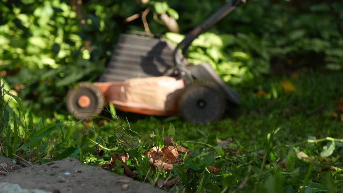 花园，特写镜头。园艺的一天。侧视图:在家中使用割草机的人。割草机。修剪草坪。打扫花园。使用电动割草机