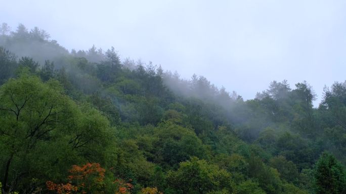 初秋雨中山脉云雾缭绕的绝美自然风光