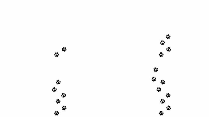 动画:白色背景上的一串黑色脚印(漫画的轮廓形状)，一只狗独自走在一条从下到上的小路上，垂直方向。