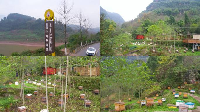 X108 农业 蜜蜂小镇 养蜂