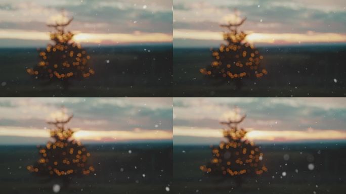 日落时雪落在山上圣诞树上的散焦场景