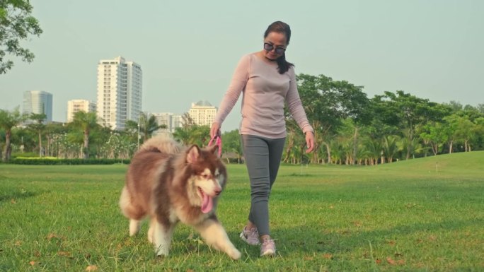 女主人带着她的瘸腿狗在公园散步