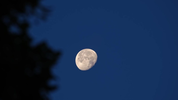 月亏月相中的大月亮